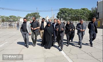 بازدید عضو کمیسیون اجتماعی و فرهنگی شورا از منطقه 17 11