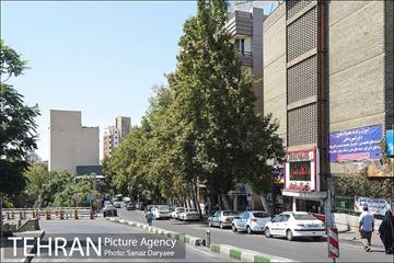 محله تجریش 28