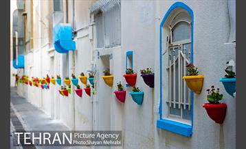 کوچه امیدی رنگ نوروز گرفت 18