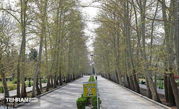 بهار در منطقه 18 19