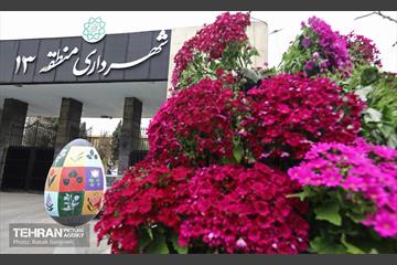 استقبال از بهار - 5 49