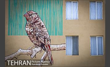 دیوارهای چشم نواز در منطقه 7