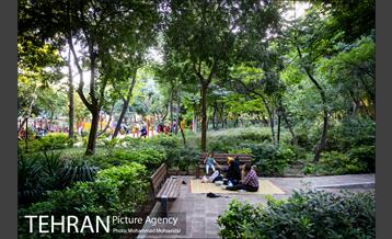 شهرنگار؛ باغ ایرانی 26
