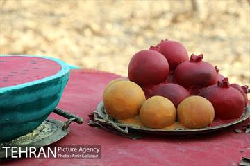 برپایی سفره شب یلدا در بوستان جوانمردان ایران 5