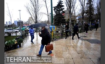 بارش باران در تهران 8
