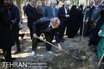 غرس نهال در بوستان بهاران 19
