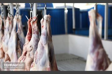 مرکز عرضه دام بهداشتی به مناسبت عید قربان 38