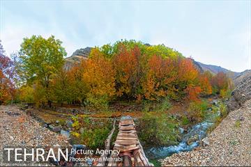 طبیعت پاییزی روستای سنگان 74