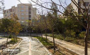 به وقت خدمت؛ باغ‌راه حضرت زهرا(س) محدوده امامزاده حسن (ع) 39