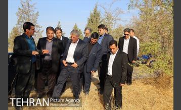 بازدید رئیس شورای شهر تهران از بوستان جنگلی چیتگر 7