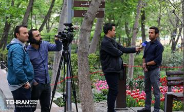 تور عکاسی از باغ ایرانی 21