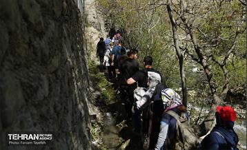 دومین جشنواره شکوفه‌های گیلاس 18