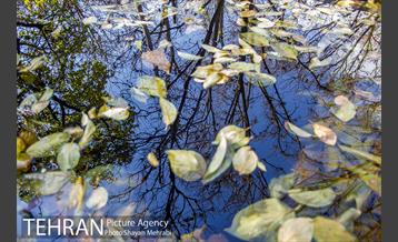 کوچه باغ های محله کن 10