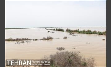 بازدید شهردار تهران از منطقه سیل زده پل قدرت آباد دشت آزادگان 18