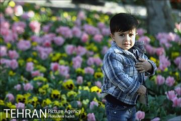 جشنواره لاله‌ها در بوستان زندگی محله هرندی 13