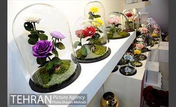 چهاردهمین نمایشگاه زنان و تولید ملی 10