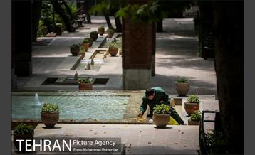 شهرنگار؛ باغ ایرانی 11