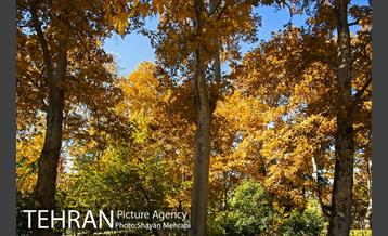 طبیعت پاییزی بوستان لاله 27