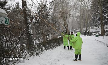 روز برفی تهران - 2 17