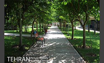 بوستان تمدن (گلبرگ) 10