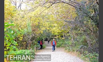باغ گیاه‌شناسی ملی ایران 8