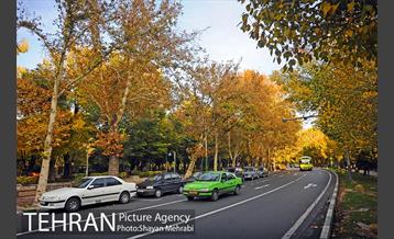 طبیعت پاییزی بلوار کشاورز 25
