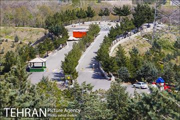 بوستان جنگلی کوهسار 15