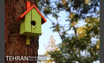 باغ راز هستی 24