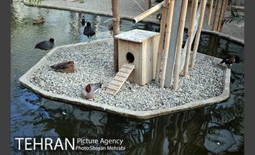 باغ پرندگان تهران 16