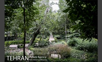 شهرنگار؛ باغ ایرانی 10
