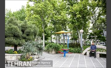 بوستان سیمرغ 2