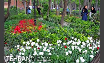 باغ ایرانی (بوستان مهندس مختاری) 28