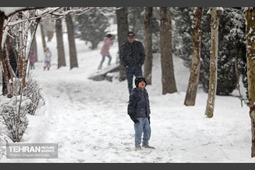 بارش برف در تهران 15