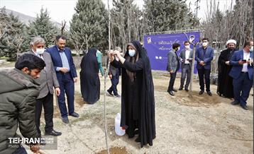 غرس ١٠٠ اصله نهال در دریاچه شهدای خلیج فارس با حضور خانواده شهدای هم محله‌ای 12