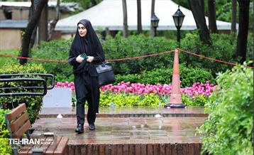 لاله‌ها میهمان باغ ایرانی 32