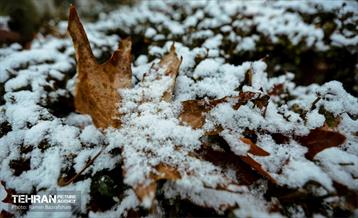 روز برفی در منطقه 8 12