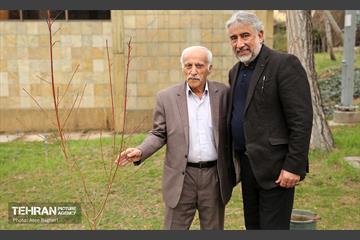 کاشت درخت توسط هنرمندان در فرهنگسرای نیاوران 7