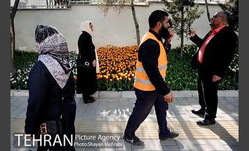 پیاده راه لاله مادران 20