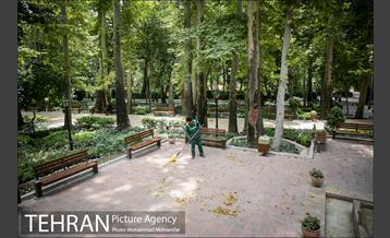 شهرنگار؛ باغ ایرانی 12