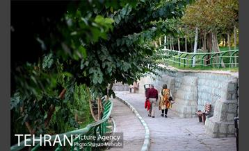 بوستان نهج البلاغه (فاز١) 3