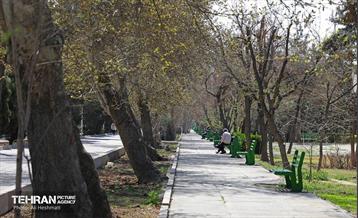 بهار در منطقه 18 10