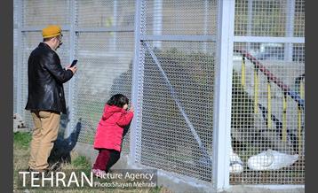 پارک پردیسان 6