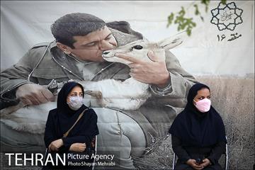 رونمایی از دیوار نگار شهدای محیط بان 3