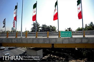 پل غیر همسطح بزرگراه شهید چمران (پل شهید نوروزی) 17