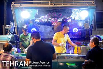 گذر گردشگری باب همایون 13