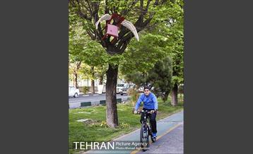 بلوار کشاورز 25