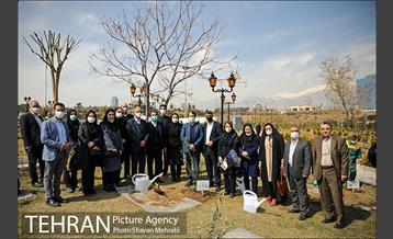 مراسم کاشت درخت صلح و دوستی 35