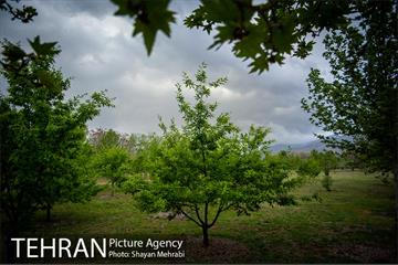 باغ گیاه‌شناسی ملی ایران 25