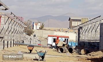 اینجا کارگاهه؛ بازار پرندگان خلیج فارس 17