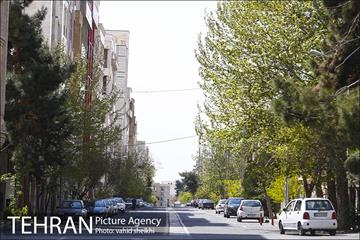 روز طبیعت متفاوت در شهر تهران 2 3